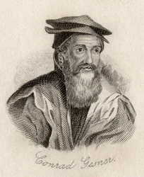 Conrad Gesner